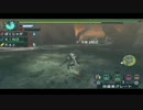 【MHP3】狩猟チームPOTETOの活動記録7　ネタに走るから痛い目にあう 後編