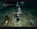 【実況】DARK SOULS解説実況第３８回【でもヘタレ】