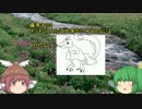 【ポケモンBW2】ゆっくり大ちゃんがメタモンでバトルを変える……？part5