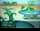 【ポケモンBW2】 ランダムフリー 主にジャローダと行く5 【実況】