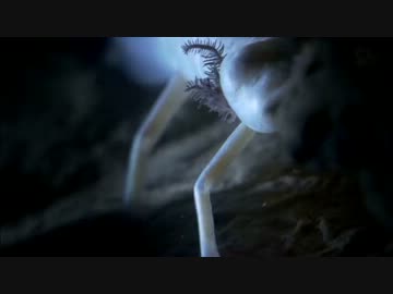 洞窟・未踏の地下世界 (02 of 02)