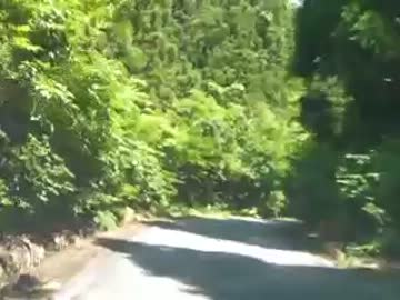 孤独男が行く国道458号線パート1