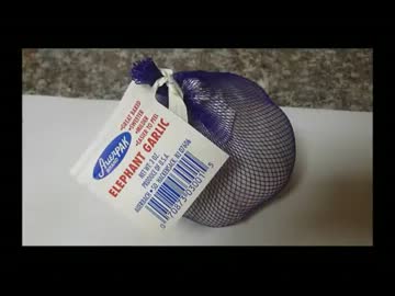 アメリカの食卓 41　エレファントガーリックディナーを食す！