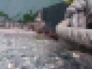 【魚釣り】お魚１００種　釣れるかな？【実況】 part 5