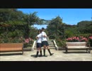 【桜】一周年☆メランコリック踊ってみました【香】