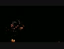 多摩川花火大会　Part2