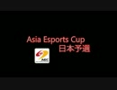 AEC2012 CS1.6ハイライト動画