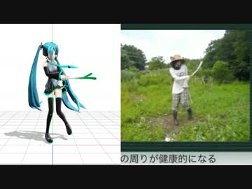 「Ievan Polkka」　比較