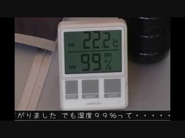 2012盆-2（エンコやり直し版）