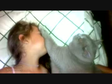 息の根を止めてくる猫