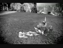 【TERA】エリーン　リョナ