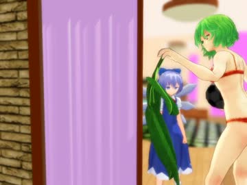 フラワーマスターおばさん【第9回MMD杯本選】