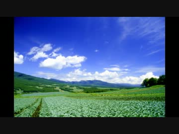 2012 summer vacation touring