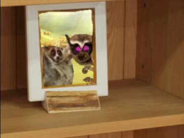 家出するスローロリスくん