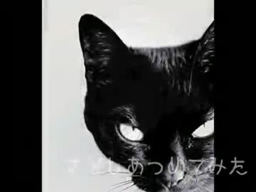 さ・と・し・あ・つ・め・て・み・た