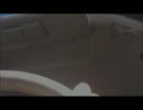 【運転中に歌ってみた】マトリョシカ