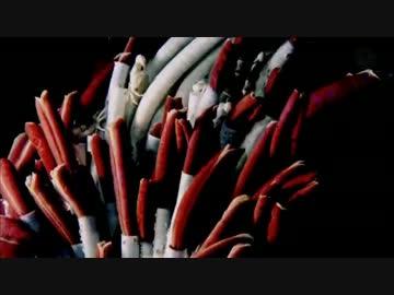 深海・青い砂漠 (02 of 02)