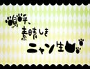 嗚呼、素晴らしきニャン生　【気ままに歌ってみた】