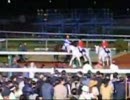 【競馬 de フィールライブ！】ダイワメジャー引退式（入場シーン）