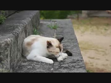 18きっぷで西日本駆け抜けてきた。【第三章】