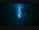 テスト動画