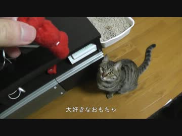だいすきなおもちゃ①　NHKケータイ大喜利　お題「せつない」