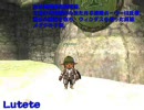 ※修正版へ移ってください※　FF11カンパニエ将軍集