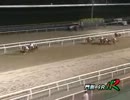 2012年8月23日門別競馬9R ＪＲＡ認定ウィナーズチャレンジ クラグオー