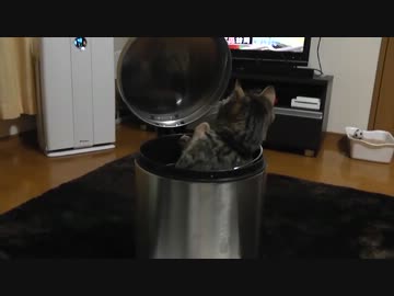 けしからんゴミ箱　NHKケータイ大喜利　お題「なんでやねん」