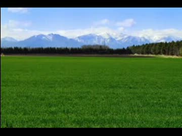 作業用ＢＧＳ３　「野鳥の歌声１」本州山地森林～北海道草原