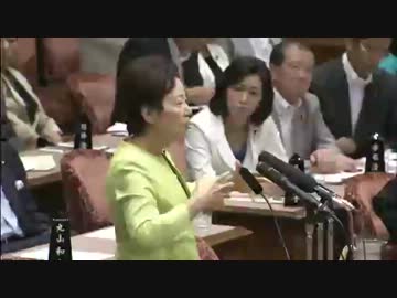 H24/08/24　参院予算委尖閣竹島集中審議・山谷えり子