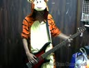 ［白牙＜HAKUGA＞］God Knows...［弾いてみた］