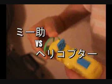 円盤を飛ばすと咥えて戻ってくる猫