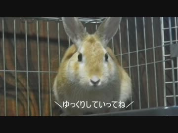 2012年 北海道バイク旅行記（写真） 1日目