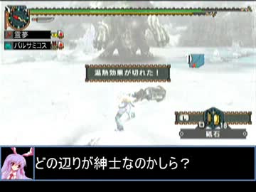 【東方】迷い込んでポッケ村　最終話・狩猟２【ＭＨ】