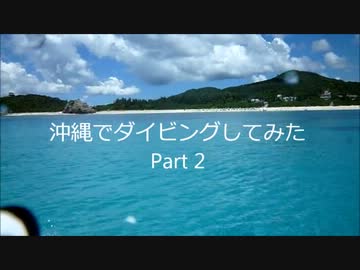 沖縄でダイビングしてみた　Part 2