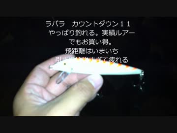 たまに行くならこんなルアーフィッシング　シーバス