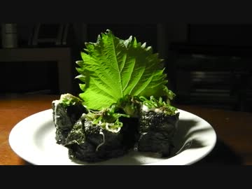 【御肉】　酒とツマミの旅人亭　～大暑の陣～