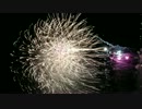 IMG_4524.MOV