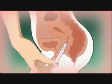 野獣先輩タンポン派説