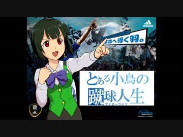 【im@s】 小鳥さんがプロサッカー選手になるようです.単発　【soccer life2】
