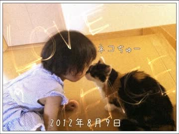 三毛猫と我が子が会話しているような気がする件について