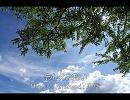 忘れえぬ想い【オリジナル曲】