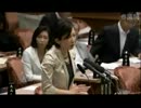 2012年08月24日【参議院】予算委員会 山本香苗(公明党)