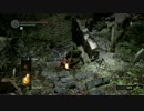 【PC版】Dark Souls Prepare To Die Edition【プレイ動画】Part8