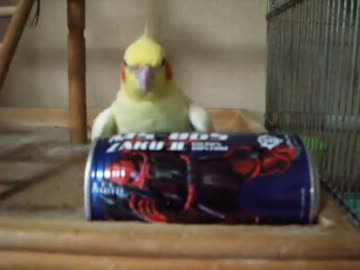 赤い彗星vs黄色い…2