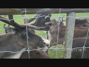2012年 北海道バイク旅行記（写真） 2日目