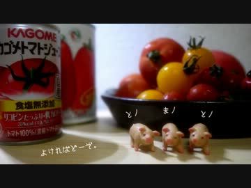 ひとりトマト祭りしてみた。【１０種】