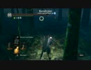 PC版　ダークソウル 大剣ブンブン　1