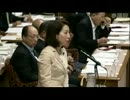 2012年08月22日【参議院】決算委員会 安井美沙子(民主党)